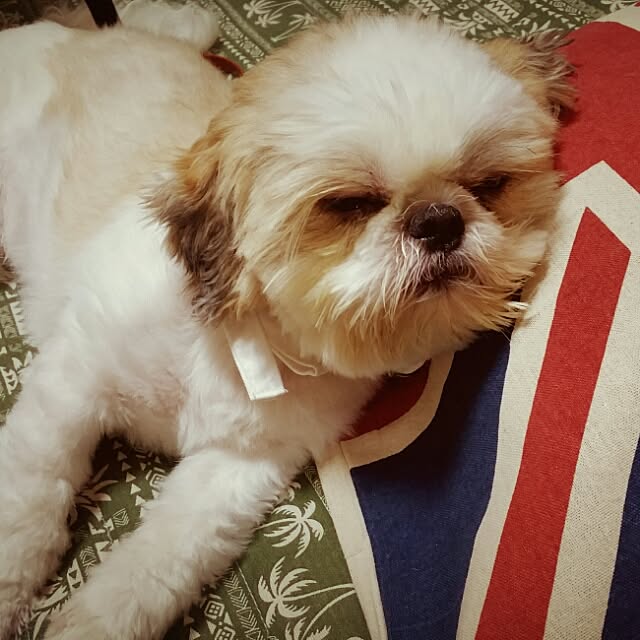 ted-ysdさんの実例写真