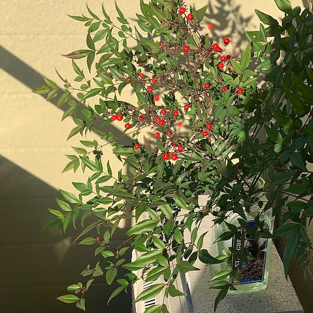 masakoさんの部屋