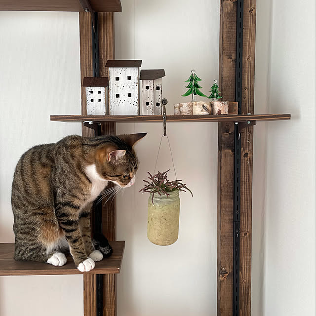 nobikoさんの実例写真