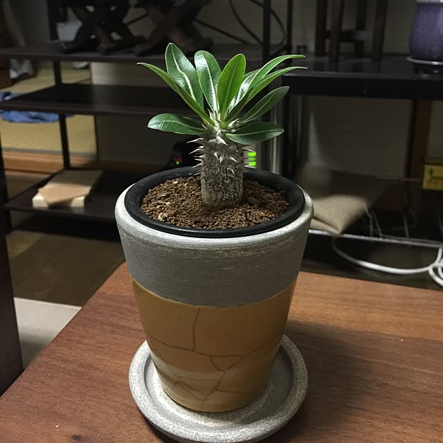tadaさんの実例写真