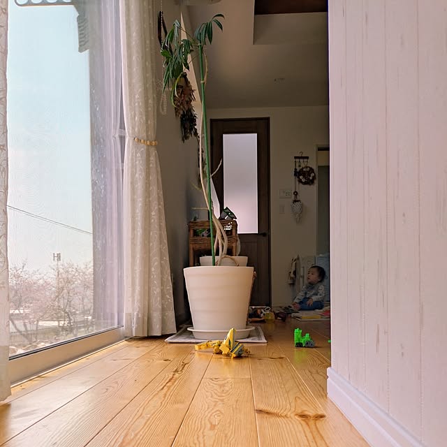 ri-eさんの実例写真