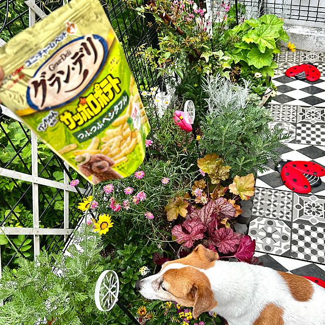 kittyさんの部屋