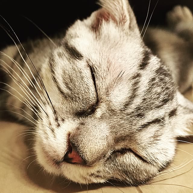 tkさんの実例写真