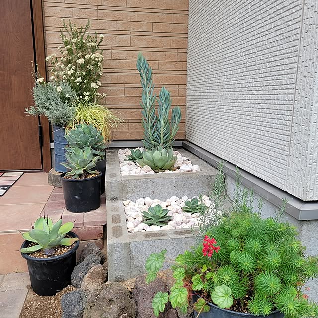 masarinn.さんの部屋