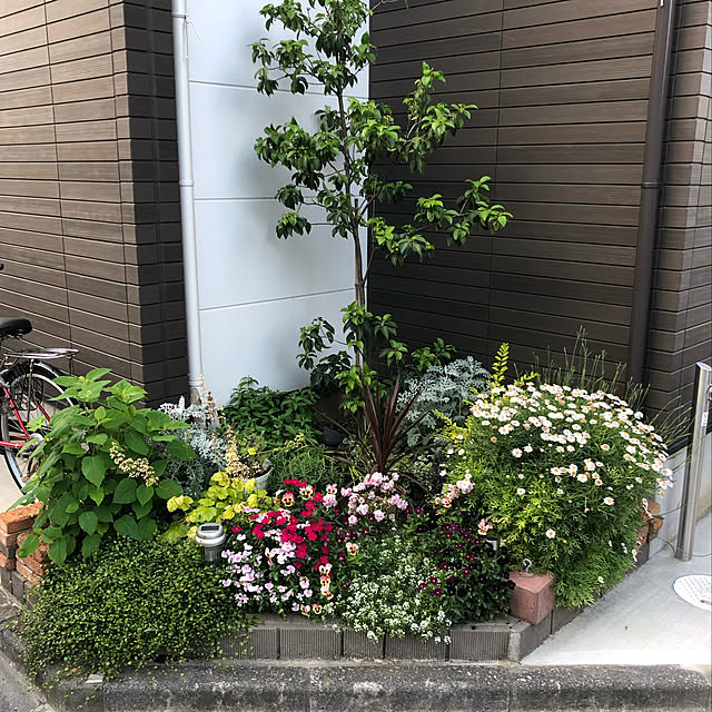 Madokaさんの実例写真
