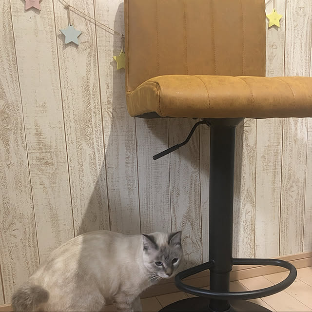 tomoyoさんの実例写真