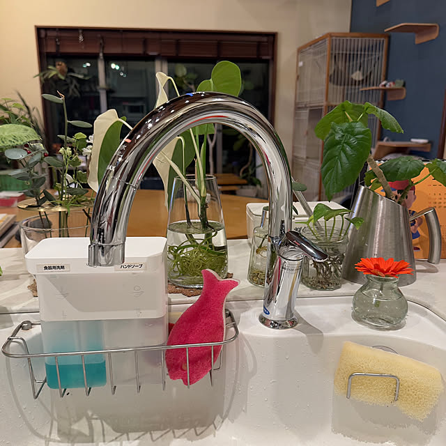 noraさんの実例写真