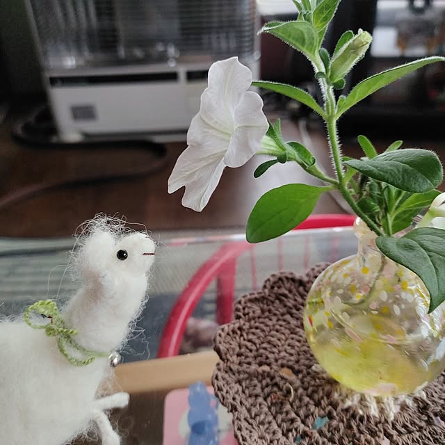 kiraさんの実例写真
