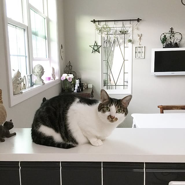 yuchiさんの実例写真