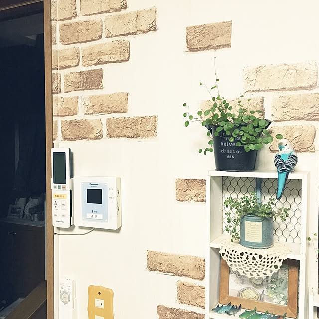 実例写真