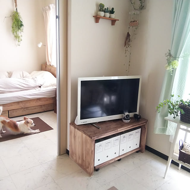 nonさんの実例写真