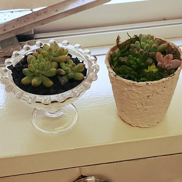 KANAさんの実例写真