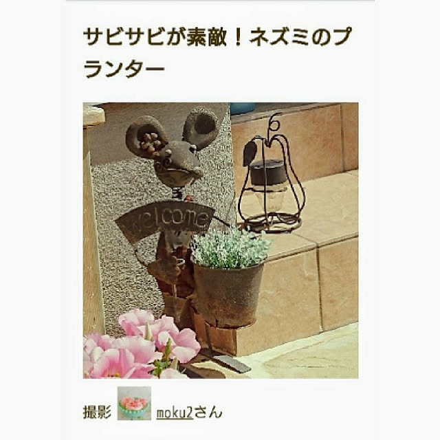 moku2さんの実例写真