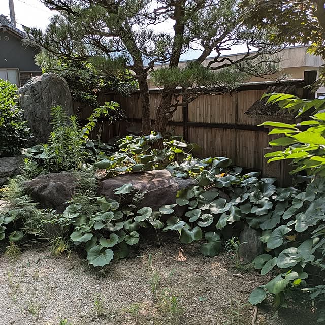 kuririnmamaさんの部屋
