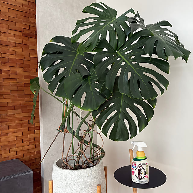 komeさんの実例写真