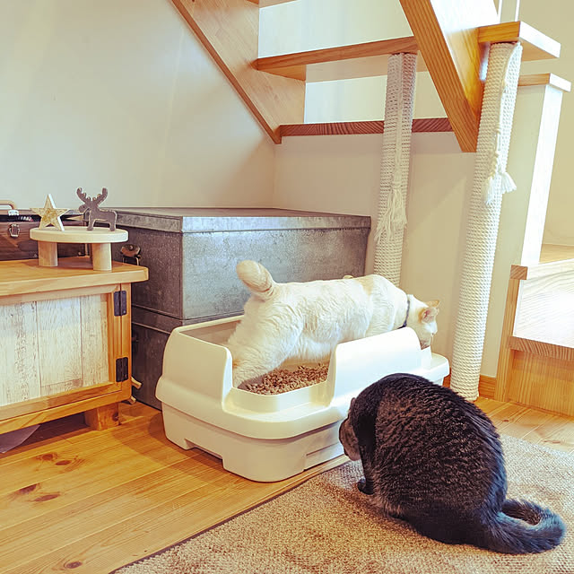 jacky-m-さんの実例写真
