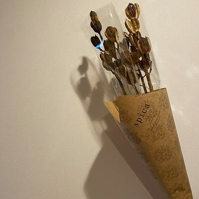 壁/天井のインテリア実例 - 2024-11-29 15:34:29
