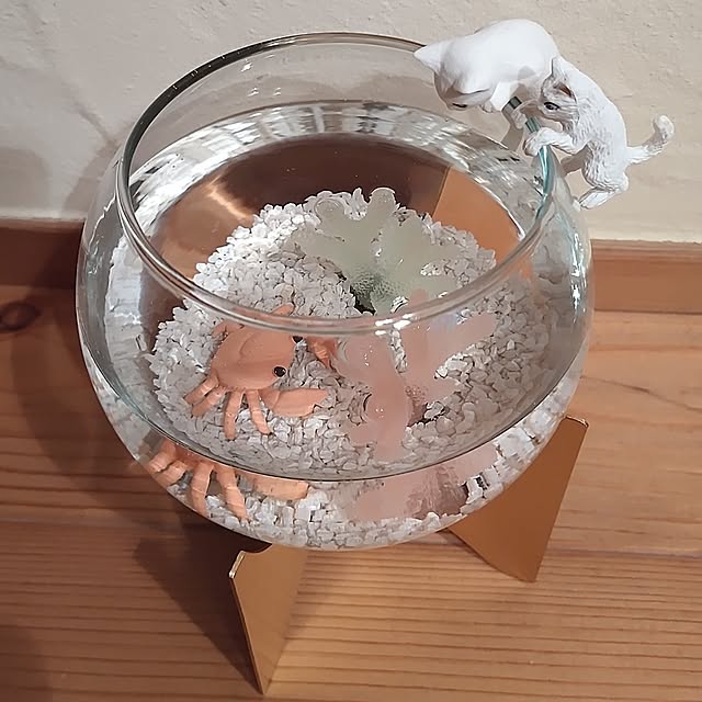t.yumiさんの実例写真