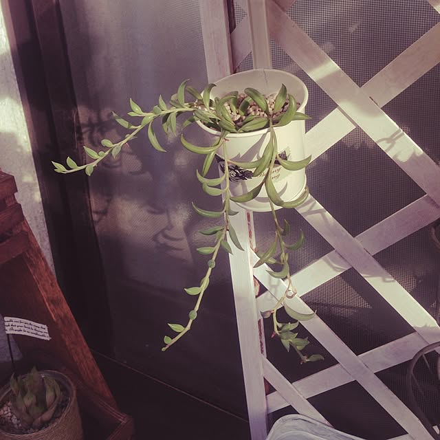 roko.homeさんの実例写真