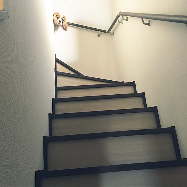 IZUMIさんの実例写真