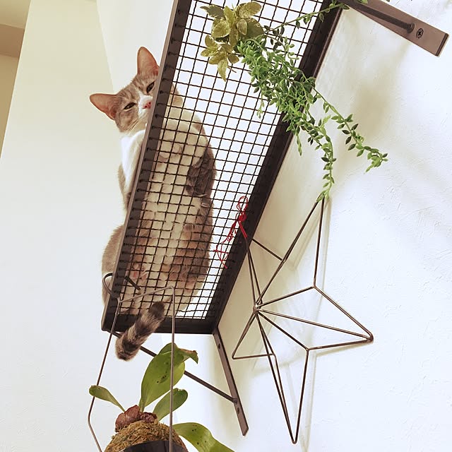 pepperさんの実例写真