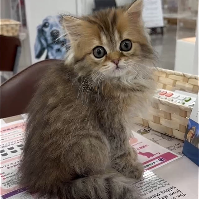 miyu39さんの部屋