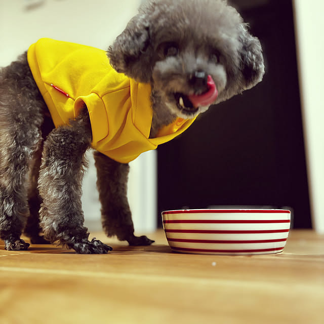 25marlさんの部屋