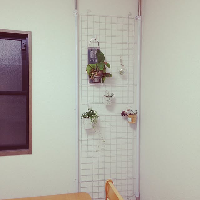 壁/天井/観葉植物/多肉植物のインテリア実例 - 2017-05-24 20:41:36