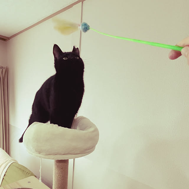 junさんの部屋