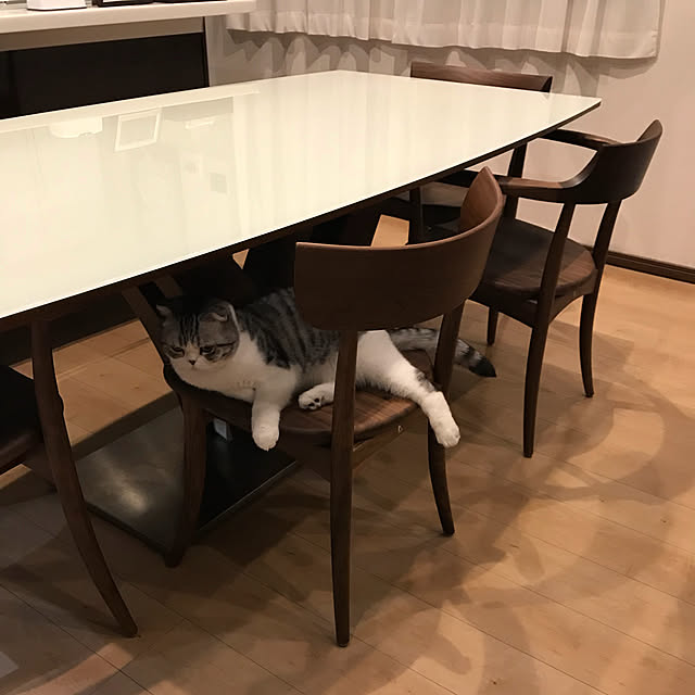 Dahliaさんの実例写真