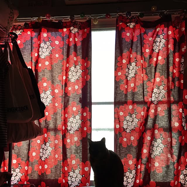 hilaさんの実例写真