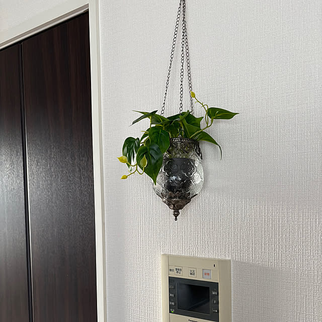 meeguemieさんの実例写真