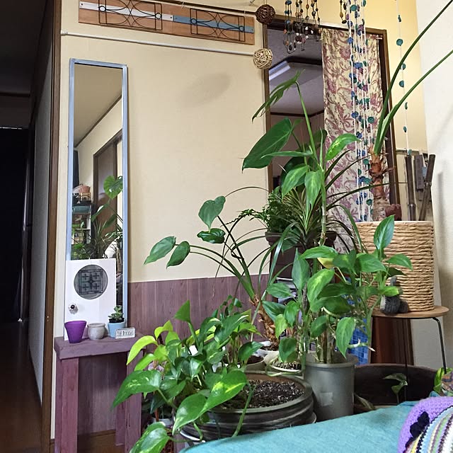 Norikoさんの実例写真