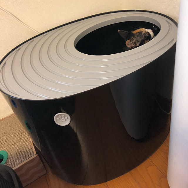 hig.さんの実例写真