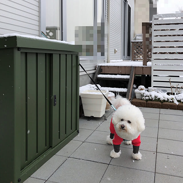 unichanさんの実例写真