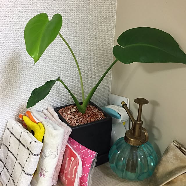 suenoさんの実例写真