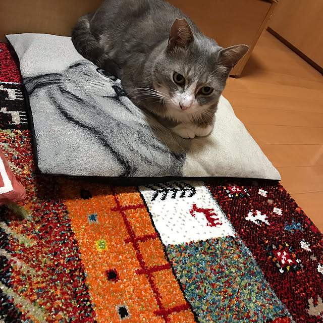 Yokoさんの実例写真