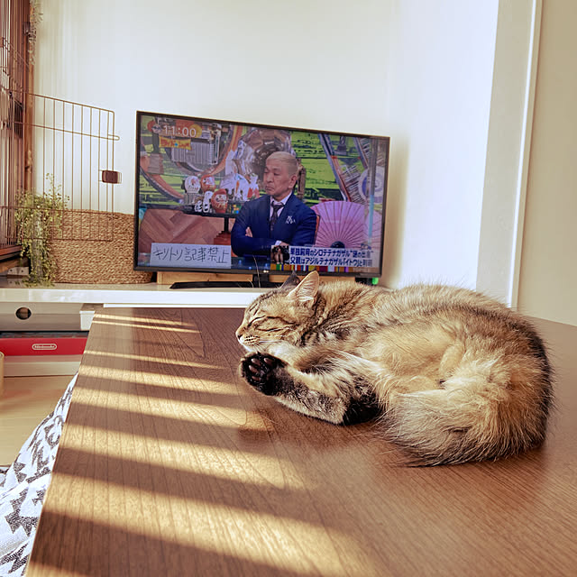 gachaさんの実例写真