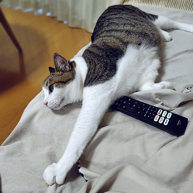 nachiさんの部屋