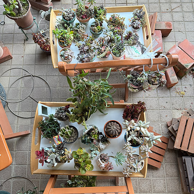 Aqettyさんの部屋