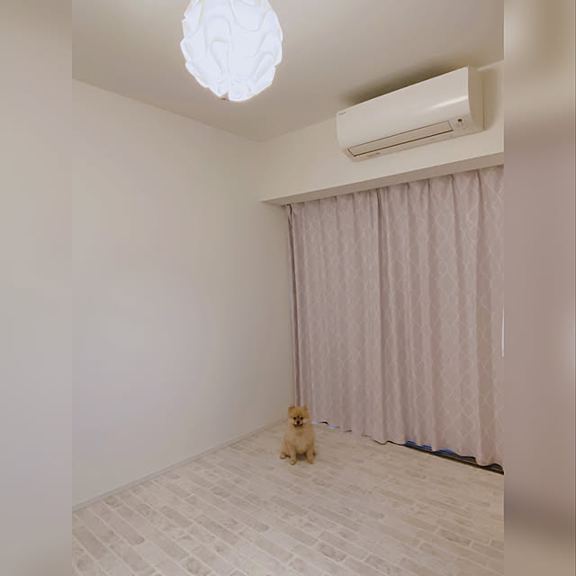 maruさんの実例写真