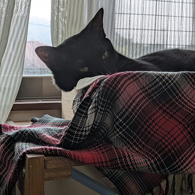 asaさんの部屋