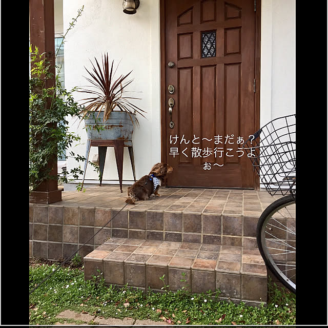 yupponさんの実例写真