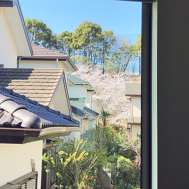 hatsugaさんの実例写真