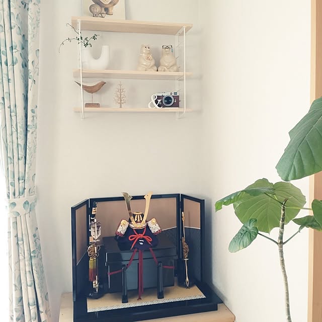 tan5さんの実例写真