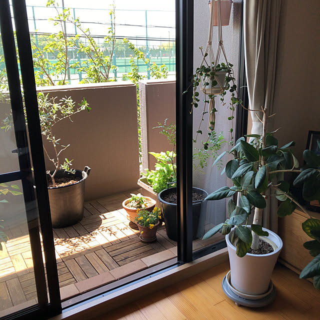 maaLさんの実例写真