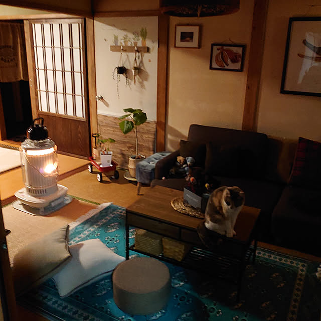 fukuさんの実例写真