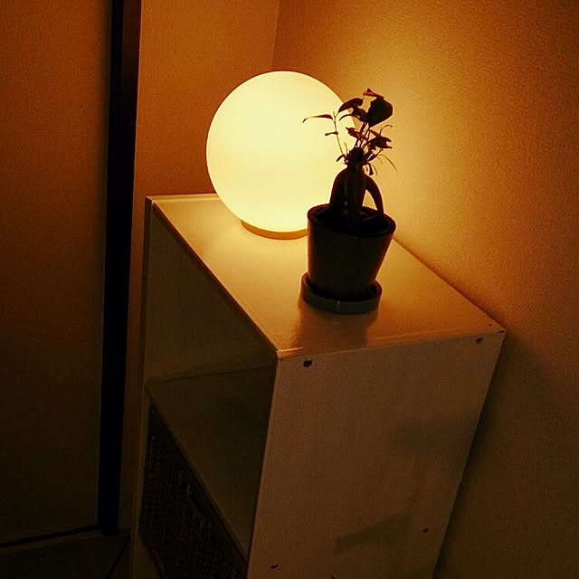 kzt424さんの実例写真