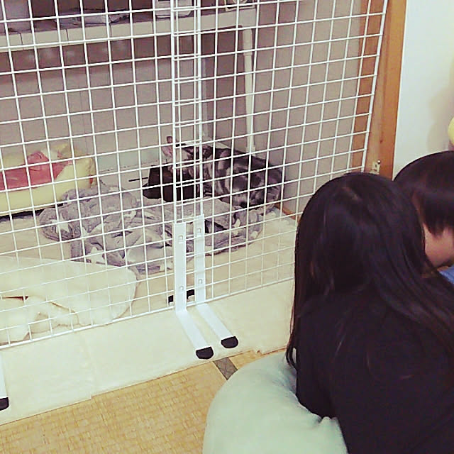 Harさんの実例写真
