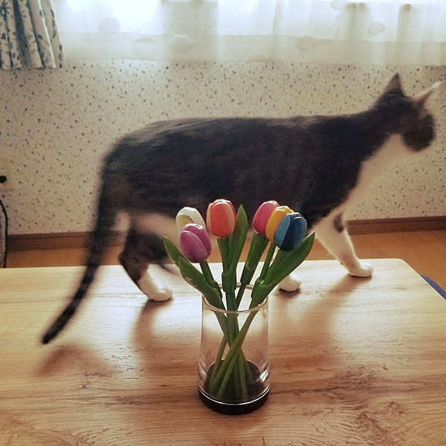 sora3さんの実例写真
